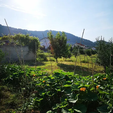 Zekija Apartmán