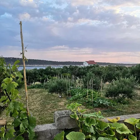 Zekija * Barbat na Rabu