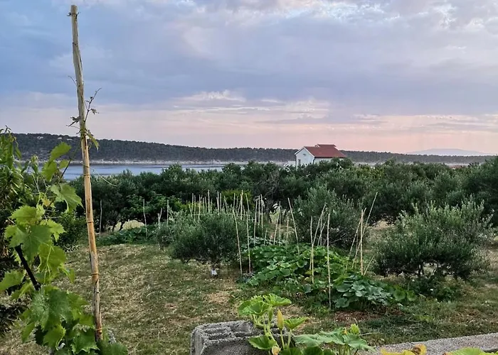 Zekija * Barbat na Rabu