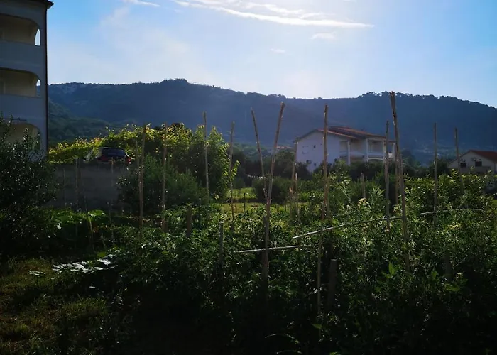 Apartment Zekija Barbat na Rabu