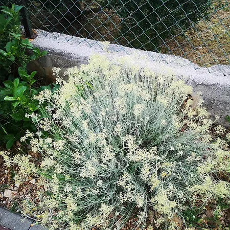 Zekija Apartamento Barbat na Rabu