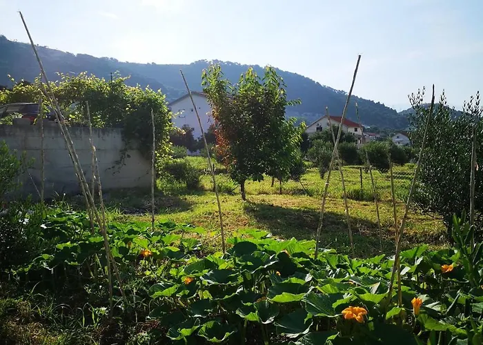 Zekija 公寓